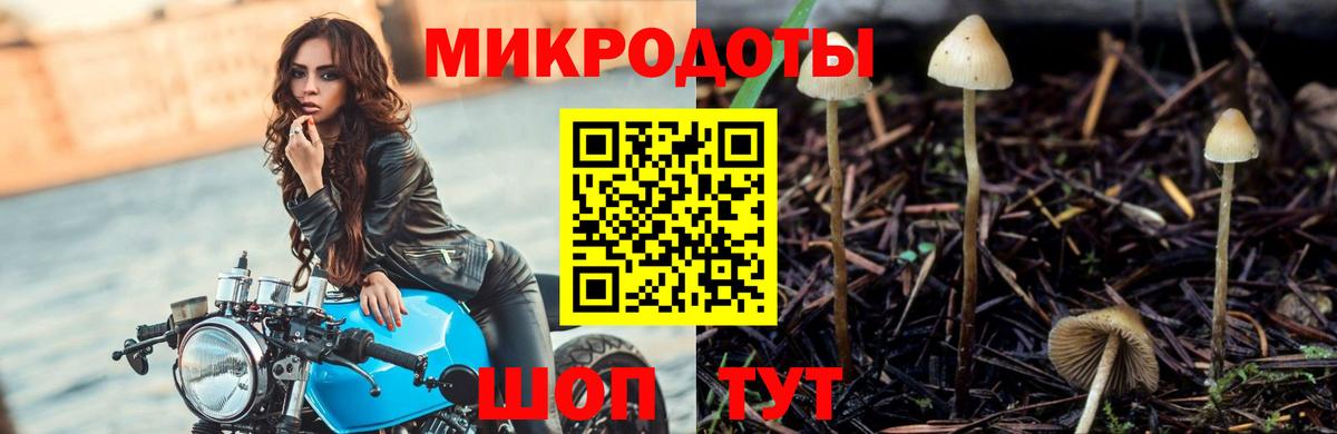 Псилоцибиновые грибы Psilocybe  Вход с VPN  Чернушка 